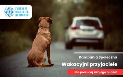 Kampania Społeczna „Wakacyjni Przyjaciele” – Dbaj o Swoje Zwierzęta podczas Wakacji