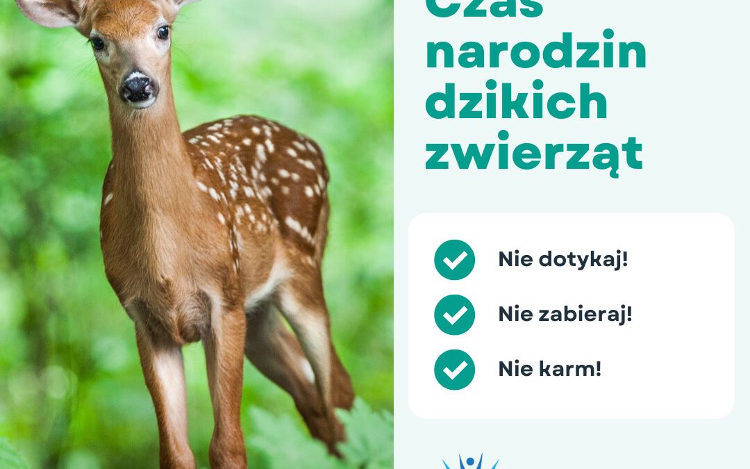Fundacja ustronie morskie