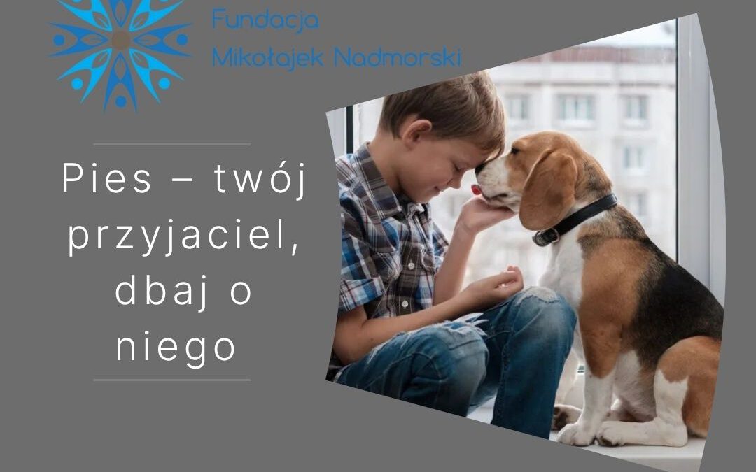 fundacja kolobrzeg