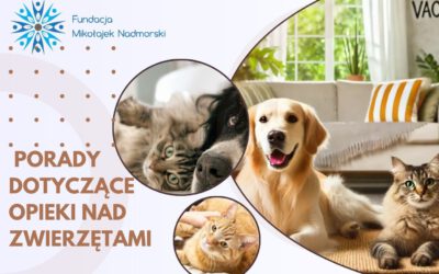 Nie tylko miska i przytulanka