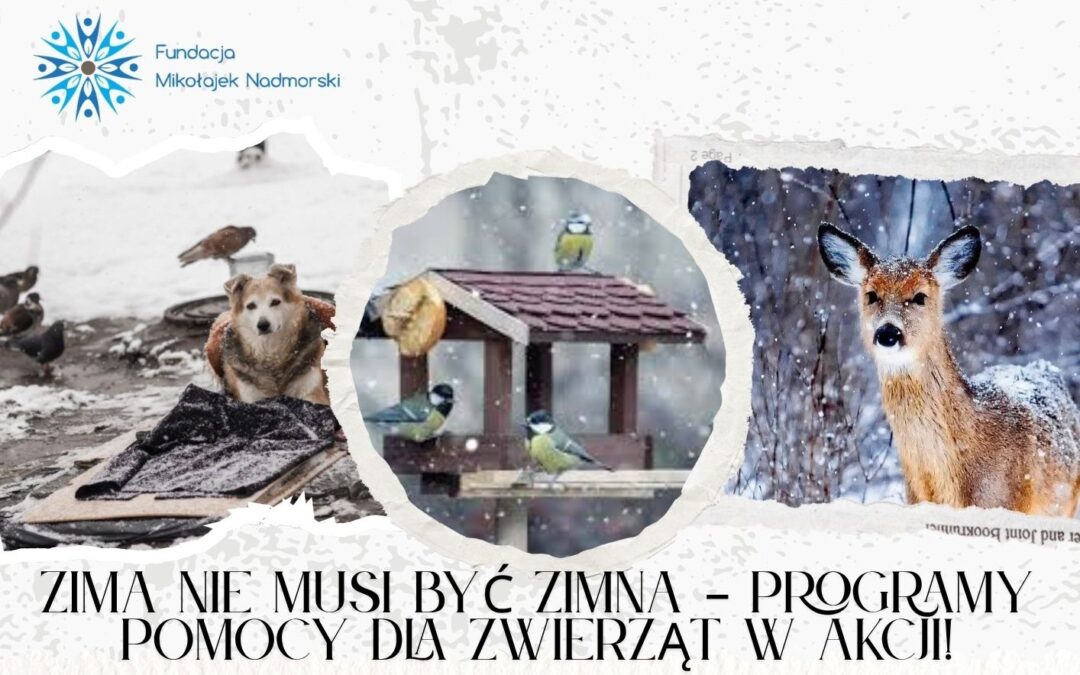 Zima nie musi być zimna – Programy pomocy dla zwierząt w akcji!