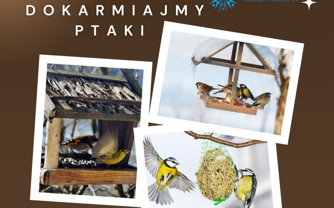 fundacja ustronie morskie